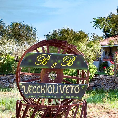 Bed and Breakfast Il Vecchioliveto Di Ornella Marrùbiu Exteriér fotografie