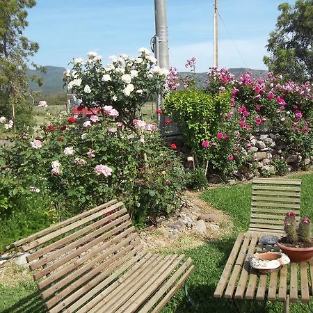 Bed and Breakfast Il Vecchioliveto Di Ornella Marrùbiu Pokoj fotografie