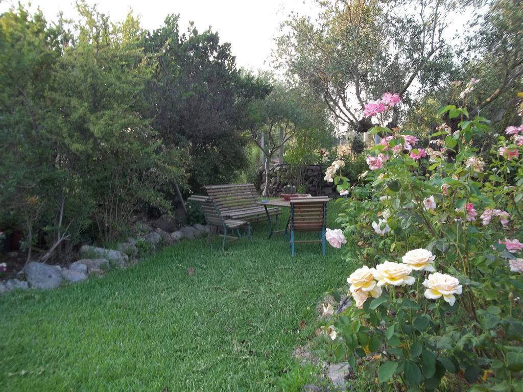 Bed and Breakfast Il Vecchioliveto Di Ornella Marrùbiu Pokoj fotografie