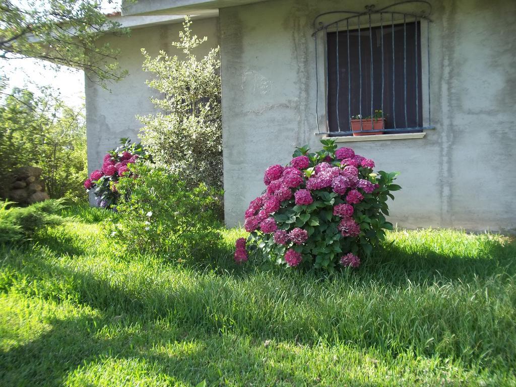 Bed and Breakfast Il Vecchioliveto Di Ornella Marrùbiu Exteriér fotografie