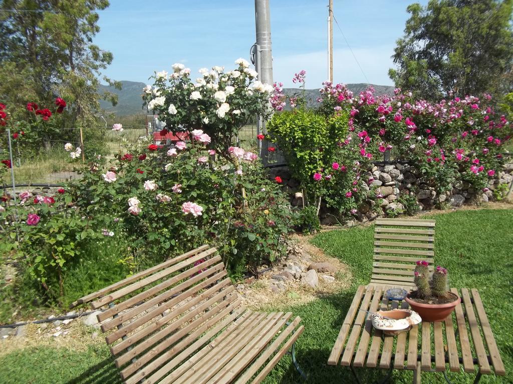 Bed and Breakfast Il Vecchioliveto Di Ornella Marrùbiu Pokoj fotografie