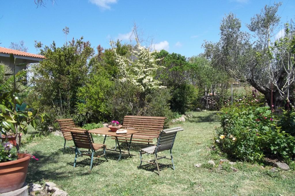 Bed and Breakfast Il Vecchioliveto Di Ornella Marrùbiu Exteriér fotografie
