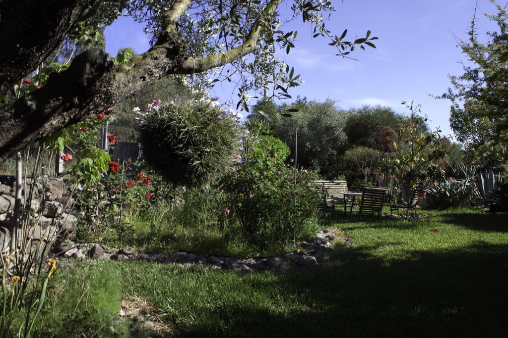 Bed and Breakfast Il Vecchioliveto Di Ornella Marrùbiu Exteriér fotografie
