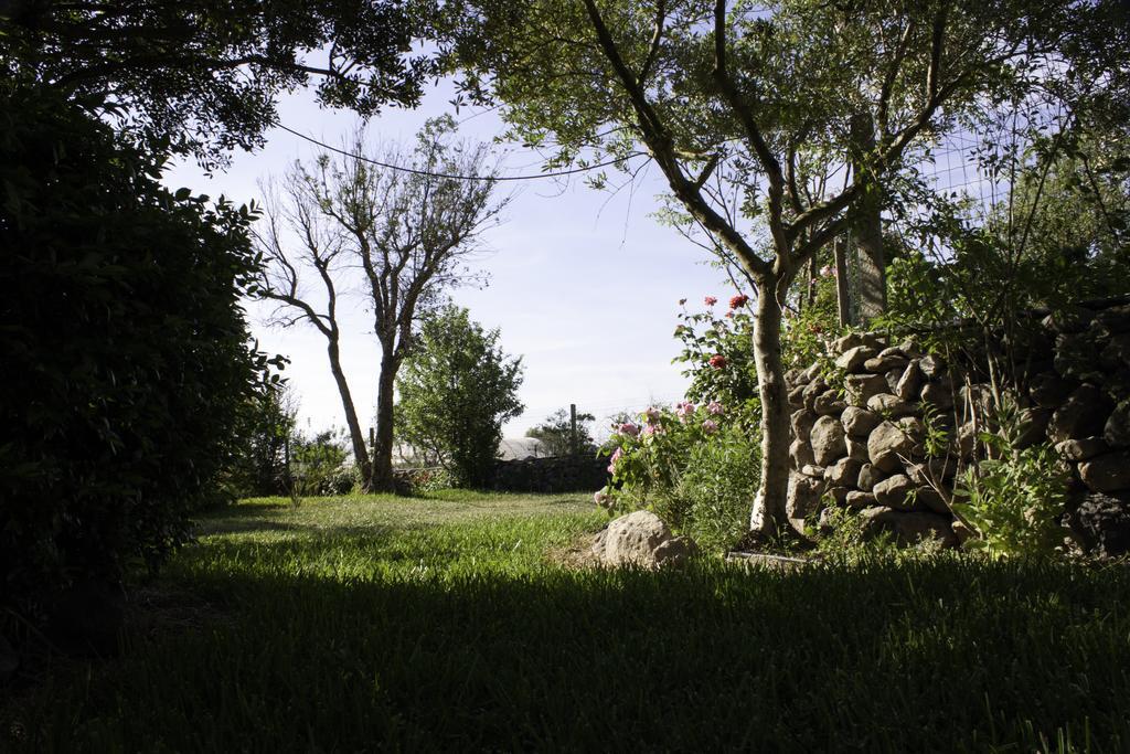 Bed and Breakfast Il Vecchioliveto Di Ornella Marrùbiu Exteriér fotografie