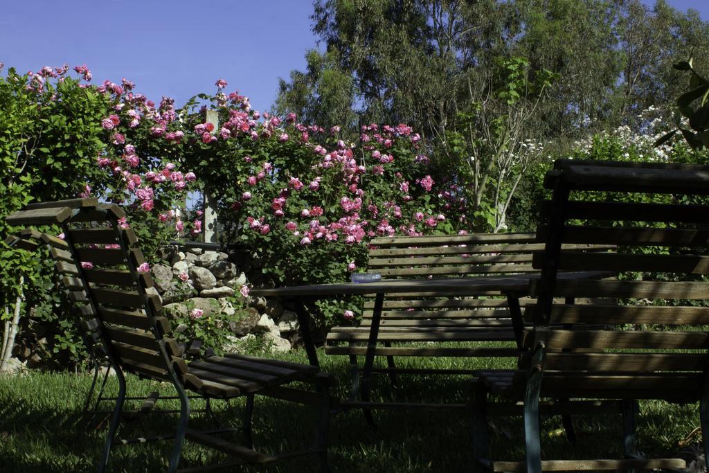 Bed and Breakfast Il Vecchioliveto Di Ornella Marrùbiu Exteriér fotografie