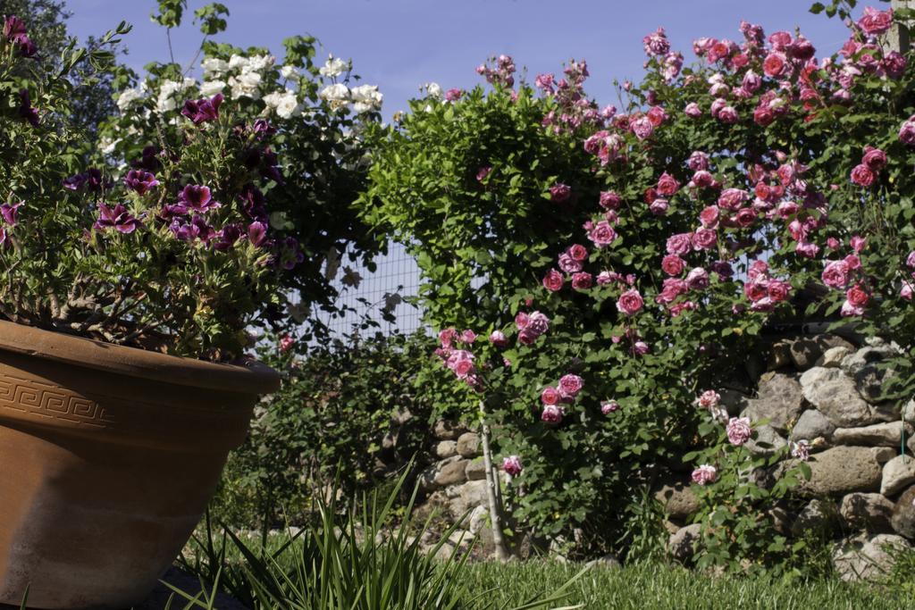 Bed and Breakfast Il Vecchioliveto Di Ornella Marrùbiu Exteriér fotografie