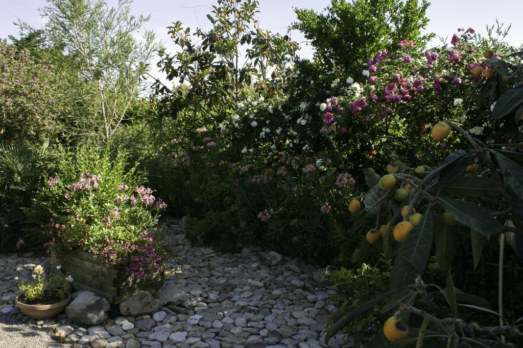 Bed and Breakfast Il Vecchioliveto Di Ornella Marrùbiu Exteriér fotografie