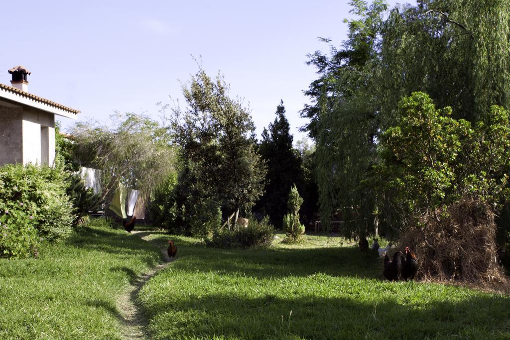 Bed and Breakfast Il Vecchioliveto Di Ornella Marrùbiu Exteriér fotografie