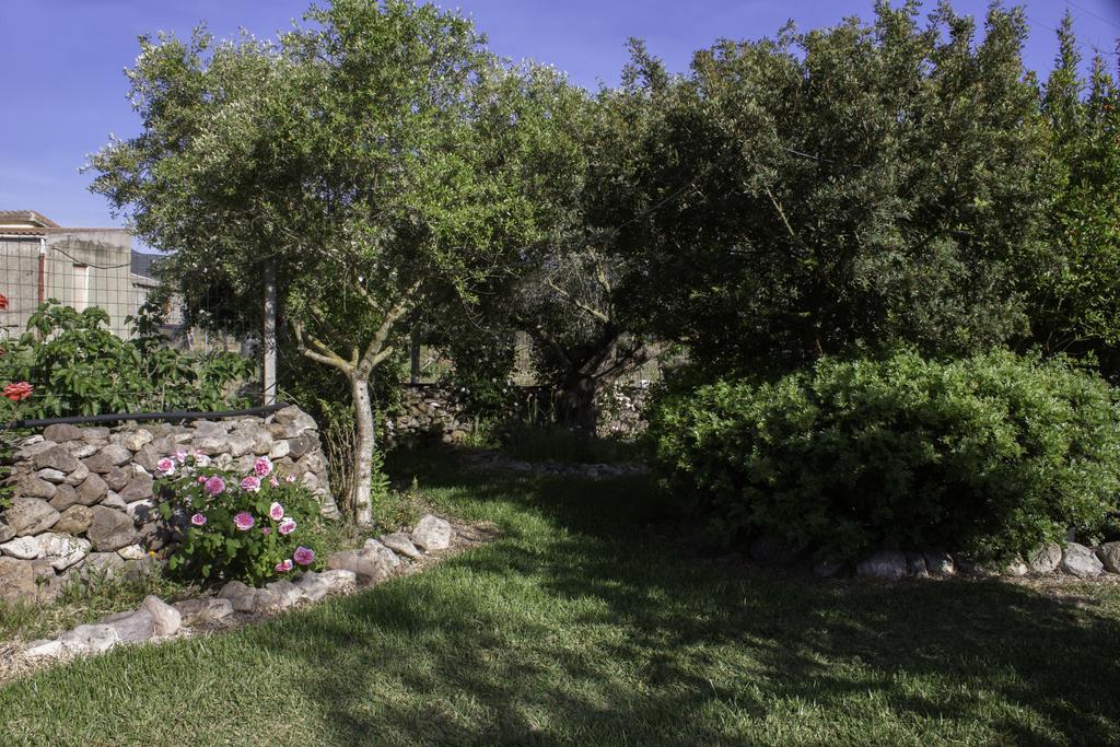 Bed and Breakfast Il Vecchioliveto Di Ornella Marrùbiu Exteriér fotografie