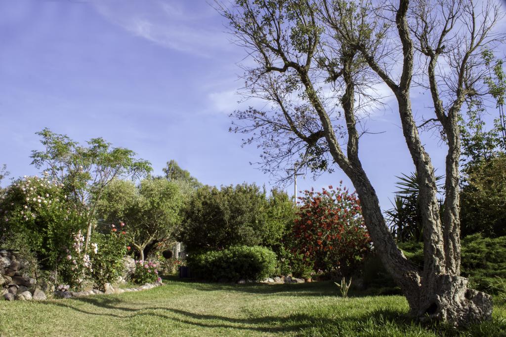 Bed and Breakfast Il Vecchioliveto Di Ornella Marrùbiu Exteriér fotografie