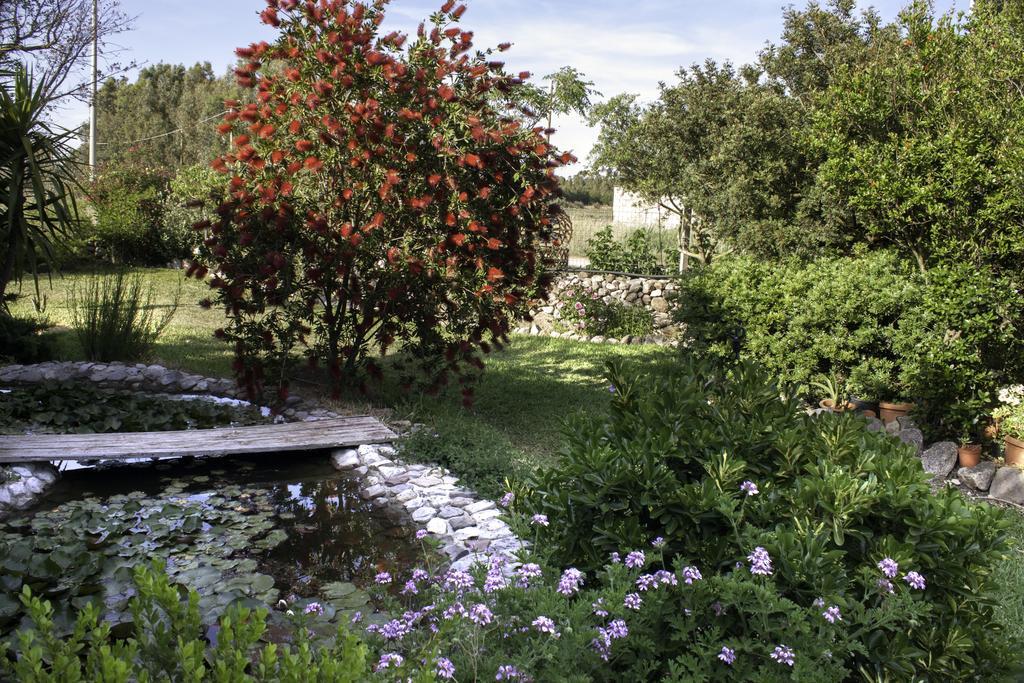 Bed and Breakfast Il Vecchioliveto Di Ornella Marrùbiu Exteriér fotografie