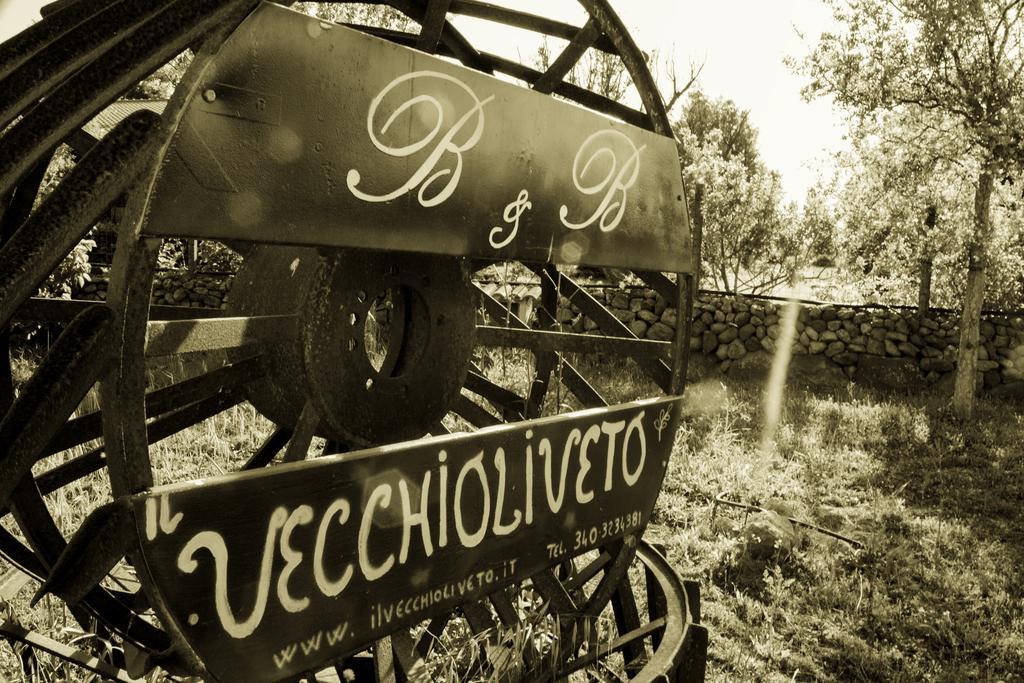 Bed and Breakfast Il Vecchioliveto Di Ornella Marrùbiu Exteriér fotografie