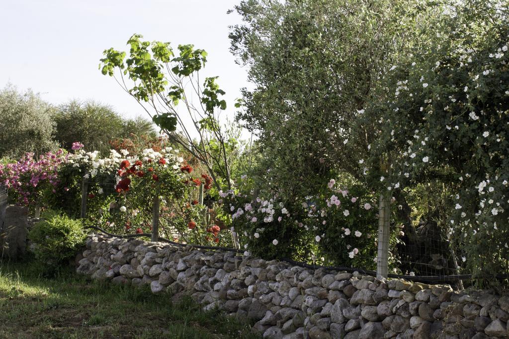 Bed and Breakfast Il Vecchioliveto Di Ornella Marrùbiu Exteriér fotografie