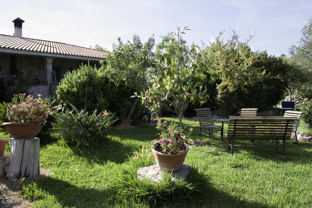 Bed and Breakfast Il Vecchioliveto Di Ornella Marrùbiu Exteriér fotografie