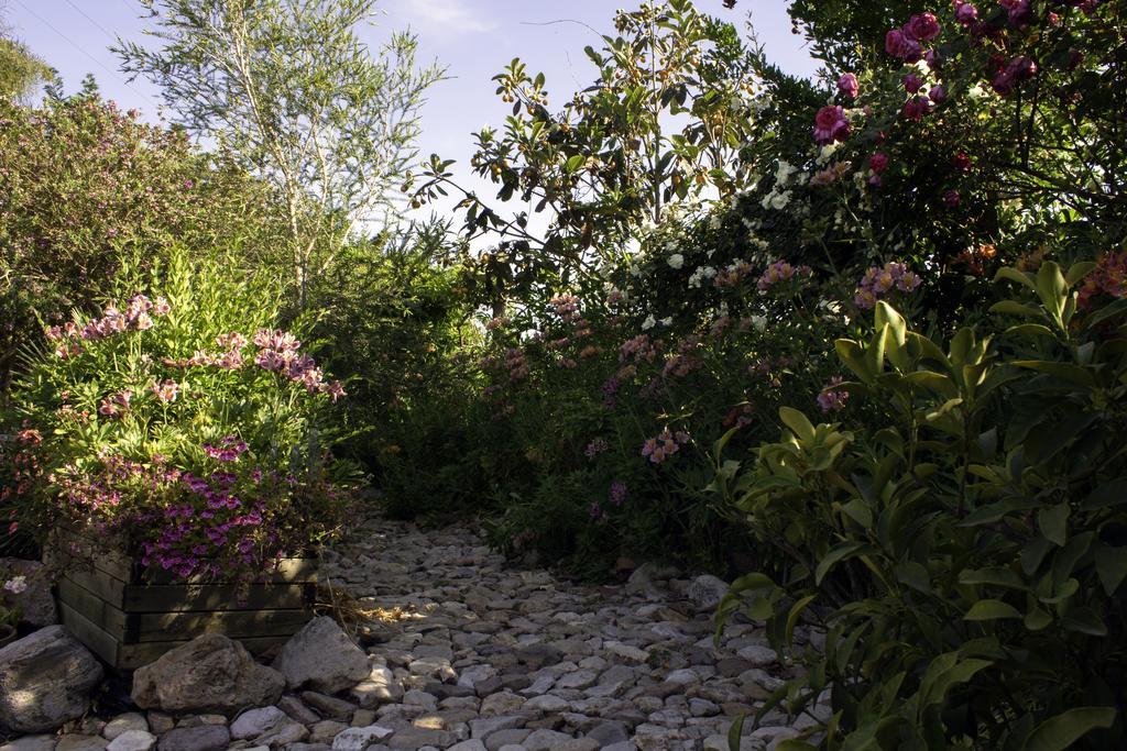 Bed and Breakfast Il Vecchioliveto Di Ornella Marrùbiu Exteriér fotografie